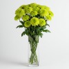 Chrysanthemum Spray Green