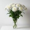 Chrysanthemum Spray White