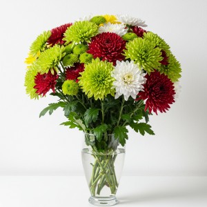 Chrysanthemum Spray Mix