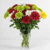 Chrysanthemum Spray Mix