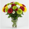 Chrysanthemum Spray Mix