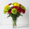 Chrysanthemum Spray Mix