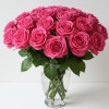 Cerise Roses Letter Box