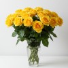 Yellow Roses