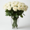 White Roses
