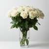 White Roses