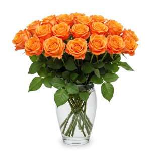 Orange Roses