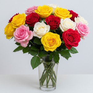 Mix Roses