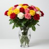 Mix Roses